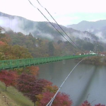 もみじ谷大吊橋ライブカメラ