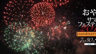 2016年7月31日“おやまサマーフェスティバル2016 ” の第65回小山の花火ライブカメラと雨雲レーダー/栃木県小山市