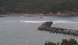 停止中：海洋自然博物館マリンジャム周辺の海ライブカメラと雨雲レーダー/徳島県海陽町