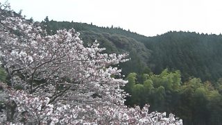 水上村役場の桜ライブカメラと雨雲レーダー/熊本県水上村