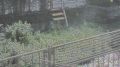 恩田川 ライブカメラ(高瀬橋)と雨雲レーダー/東京都町田市
