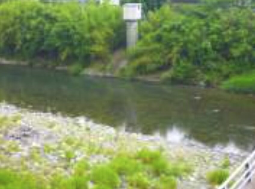 氷川・立神橋 ライブカメラ/熊本県氷川町