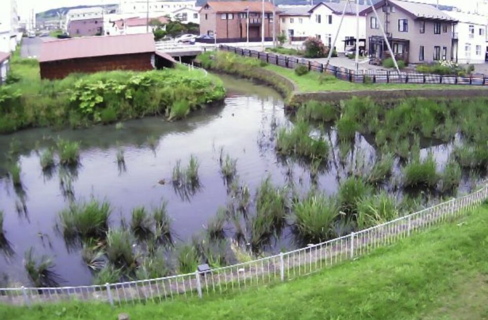 古川・0.7Kp ライブカメラ/北海道新ひだか町