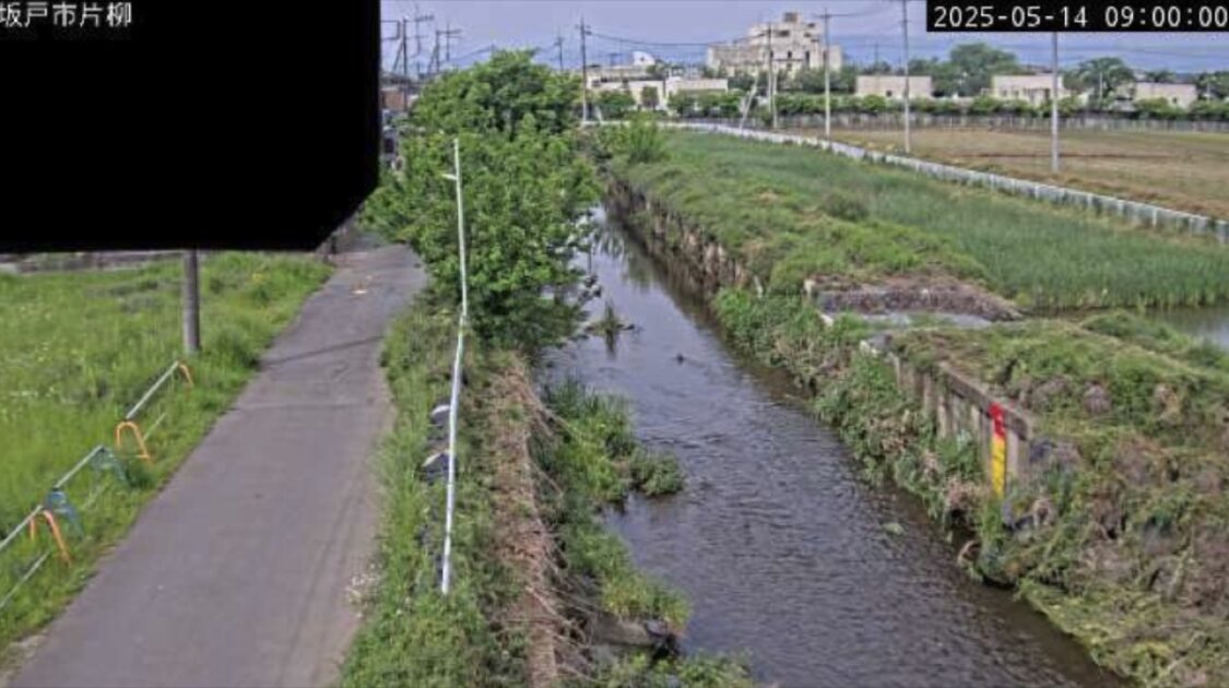 飯盛川・坂戸市片柳観測局 ライブカメラ/埼玉県坂戸市