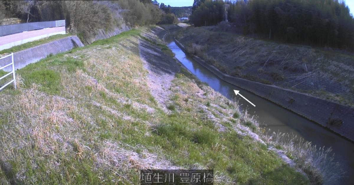 埴生川・豊原橋 ライブカメラ/千葉県長南町