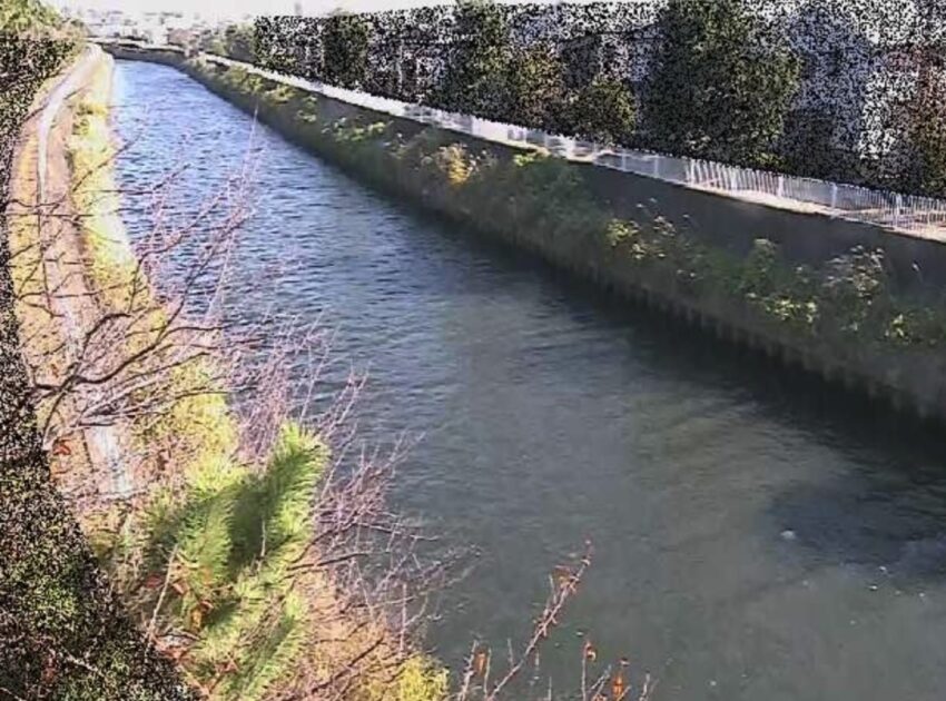 引地川・大平橋 ライブカメラ/神奈川県藤沢市