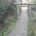 太平山県立自然公園の“あじさい坂”ライブカメラ