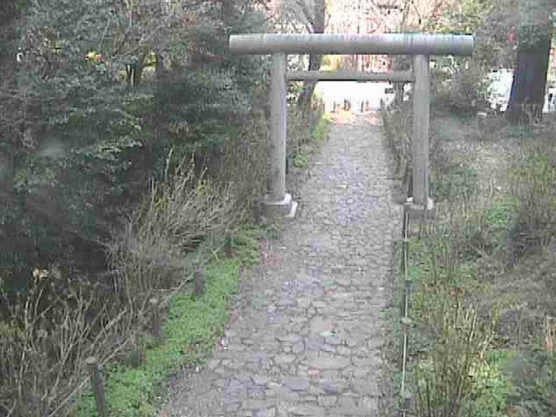 太平山県立自然公園の“あじさい坂”ライブカメラ/栃木県栃木市