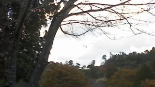 徳島県立神山森林公園イルローザの森ライブカメラと雨雲レーダー/徳島県神山町