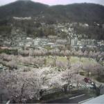 城山公園ライブカメラ