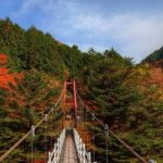 梅ヶ島の紅葉360度パノラマカメラ