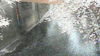 石神井川 ライブカメラ(板橋)と雨雲レーダー/東京都板橋区