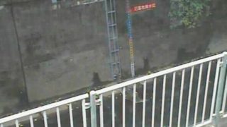 神田川 ライブカメラ(番屋橋)と雨雲レーダー/東京都杉並区
