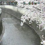 栗原橋(石神井川)ライブカメラ