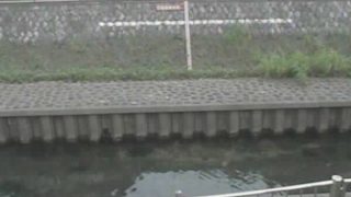 善福寺川・西田端橋ライブカメラと雨雲レーダー/東京都杉並区