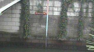 目黒川 ライブカメラ(荏原池上)と雨雲レーダー/東京都品川区
