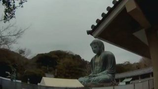 鎌倉大仏殿高徳院 ライブカメラと雨雲レーダー/神奈川県鎌倉市