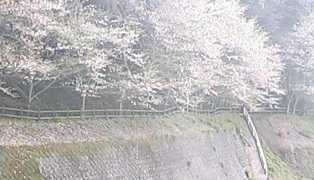 停止中：巌洞ファーム周辺の桜ライブカメラと雨雲レーダー/鹿児島県鹿児島市
