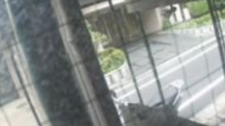 BASSOドリルマンライブカメラと雨雲レーダー/東京都豊島区