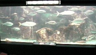 のとじま水族館ライブカメラと雨雲レーダー/石川県七尾市