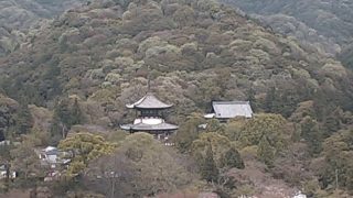 根来寺ライブカメラと雨雲レーダー/和歌山県岩出市