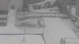 停止中：旭山動物園　ペンギン館前ライブカメラと雨雲レーダー/北海道旭川市