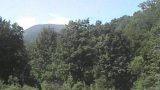 山形県立自然博物園ライブカメラと雨雲レーダー/山形県西川町