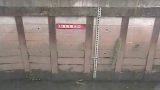 石神井川 ライブカメラ(稲荷橋)と雨雲レーダー/東京都練馬区