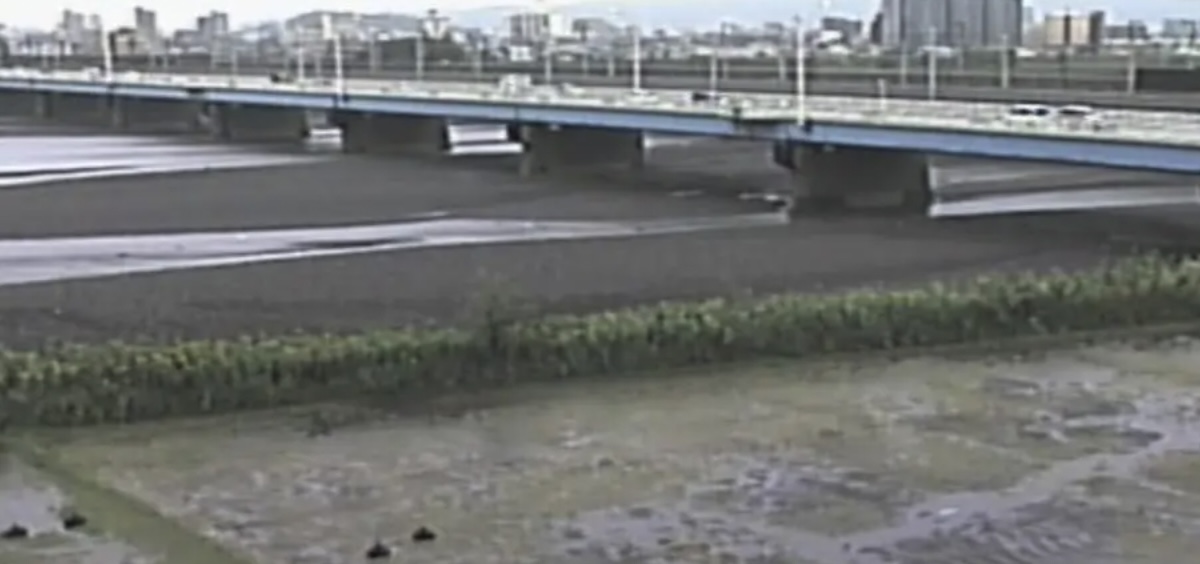 安倍川のライブカメラ一覧・雨雲レーダー・天気予報