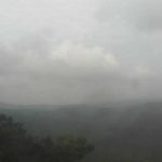 やんばるの照葉樹林ライブカメラ
