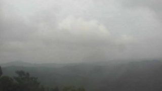 やんばるの照葉樹林ライブカメラと雨雲レーダー/沖縄県国頭村