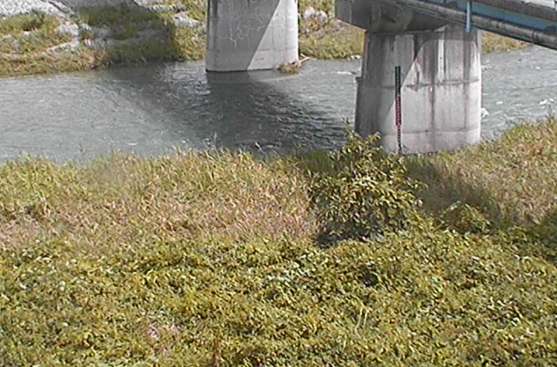 飯尾川・江川・桑村川・学島川・ほたる川・岩屋谷川・川田川 ライブカメラ/徳島県吉野川市