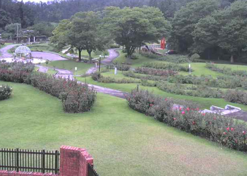 東沢バラ公園 ・甑岳・村山駅東口・村山駅などライブカメラ(6ヶ所)/山形県村山市