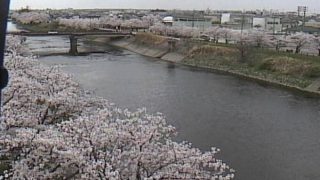 五条川ライブカメラと雨雲レーダー/愛知県清須市