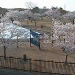 二ツ沼総合公園南駐車場付近ライブカメラ