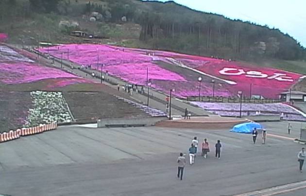 ジュピアランドひらたの芝桜ライブカメラ/福島県平田村