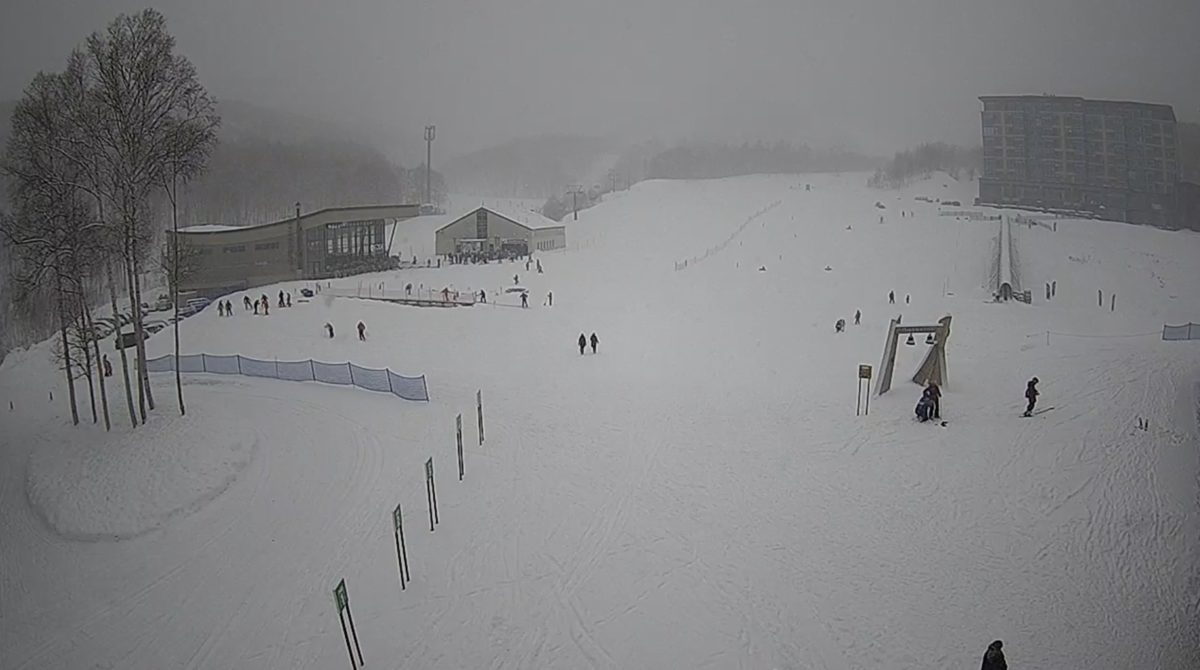 北海道 スキー場のライブカメラ
