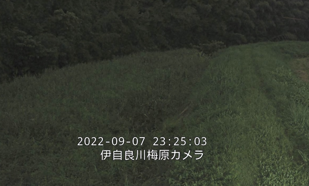 岐阜県山県市のライブカメラ一覧・雨雲レーダー・天気予報