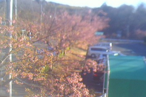 停止中：伊豆急行本社ライブカメラ/静岡県伊東市