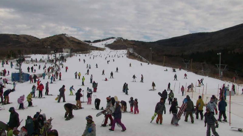 くじゅう森林公園スキー場リフト引換券 2枚 - ウィンタースポーツ