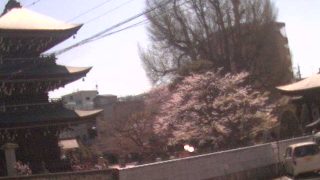 飛騨国分寺ライブカメラと雨雲レーダー/岐阜県高山市