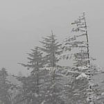 浅間山・草津白根山ライブカメラ(3ヶ所)