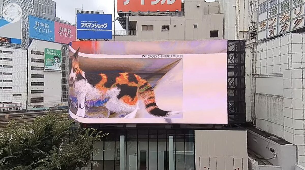 3D巨大猫・クロス新宿ビジョン ライブカメラ/東京都新宿区
