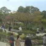 兼六園ライブカメラ2