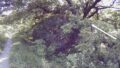 高麗川・浅羽 右岸3.3kpライブカメラと雨雲レーダー/埼玉県坂戸市浅羽