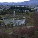 桜の開花時期限定:開成山公園ライブカメラ