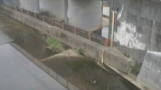 白子川・三ツ橋ライブカメラと雨雲レーダー/東京都練馬区大泉町