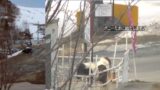 菅平高原スキー場 ポニーの様子 ライブカメラと雨雲レーダー/長野県上田市