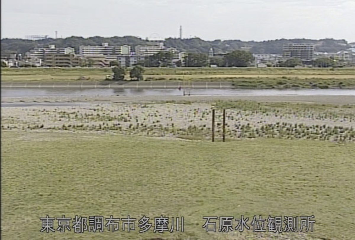 多摩川 ライブカメラ（石原水位観測所）・河川水位/東京都調布市