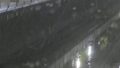 善福寺川・関根文化公園付近ライブカメラと雨雲レーダー/東京都杉並区上荻